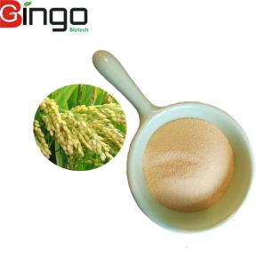 China Natural High Quality Food Grade Rice Protein Peptide For Supplements on sale