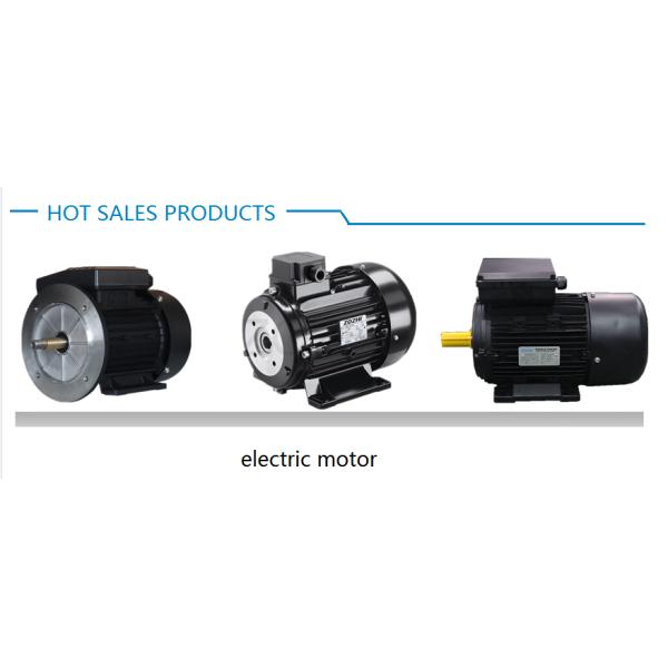 electric motor
