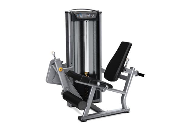 Quality Seated Matrix Leg Extension Machine With Customized Weight Stack for sale