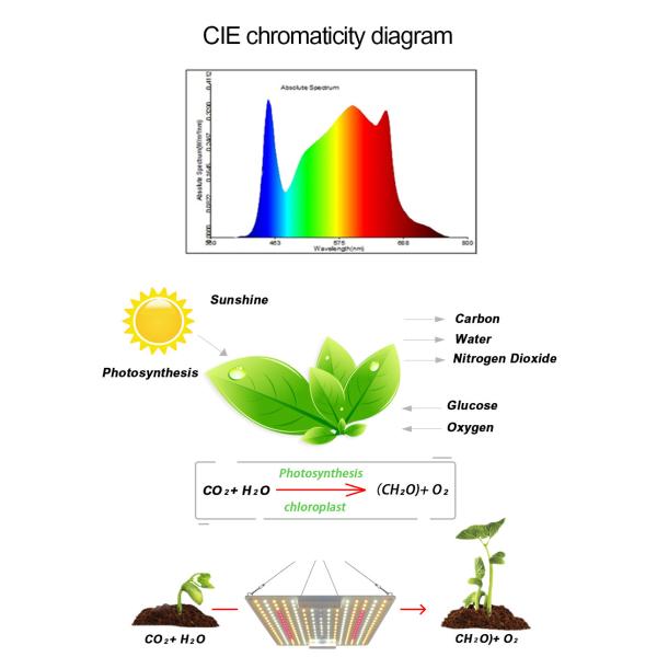 LED Indoor Grow Lights 650W 5000K Energy Saving For Plants Flowers