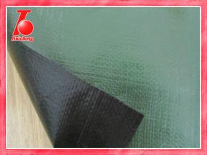 China low price pe tarp,poly tarp,grain pile poly tarps,houseware goods cover on sale