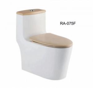  0.19cbm Compact One Piece Toilet Modern Sanitary Ware Wc Wall Mount Flush Tank Manufactures