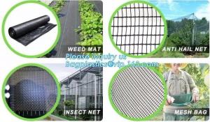  green color Plastic Ground Cover Mats mulch weed control fabric mat,Weed Barrier Around Fruit Trees PP Woven Weed Mat fo Manufactures