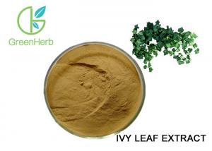  Natural Ivy Leaf Extract Powder Hedera Helix Extract 10% Hederacoside C Manufactures
