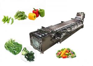  IQF Salad Production Line Vegetable Fruit Potato Chips Porcessing Machinery Manufactures