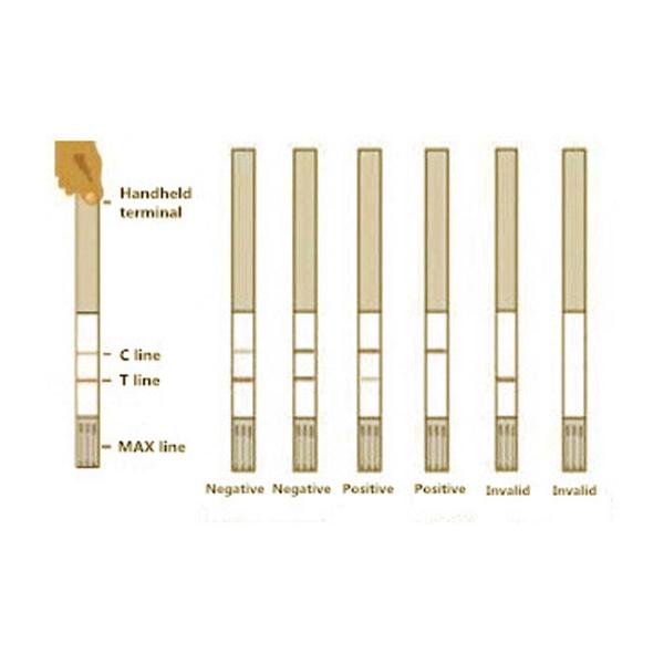 Nitrofuran AHD Rapid Test Strip For Tissue 96 Tests/Kit 0.5 Ppb