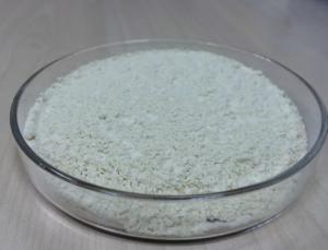 China 100% Natural white Puerariae Powder from Thailand on sale