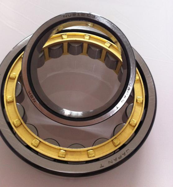 Quality Japan vendors high speed Cylindrical roller bearings NU2224EM1 for farm machine for sale