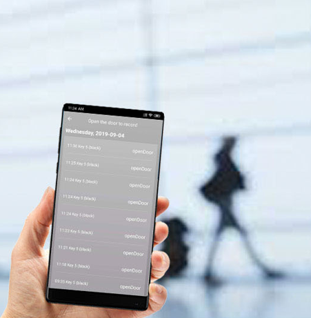 GB16796 DC 4.5V WiFi Bluetooth Smart Lock Core With Key