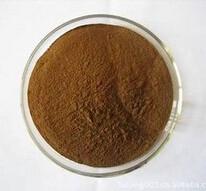  Ivy extract,Ivy Leaf Extract,Ivy Leaf Extract Powder,Hederacoside C Manufactures