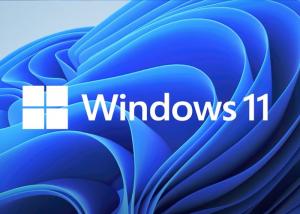 China Auto HDR Microsoft Windows 11 Professional TPM 2.0 Online Download 4GB RAM on sale