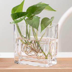 China Transparent 350ml Home Decoration Glass Pressed Small Rectangle Glass Vase on sale