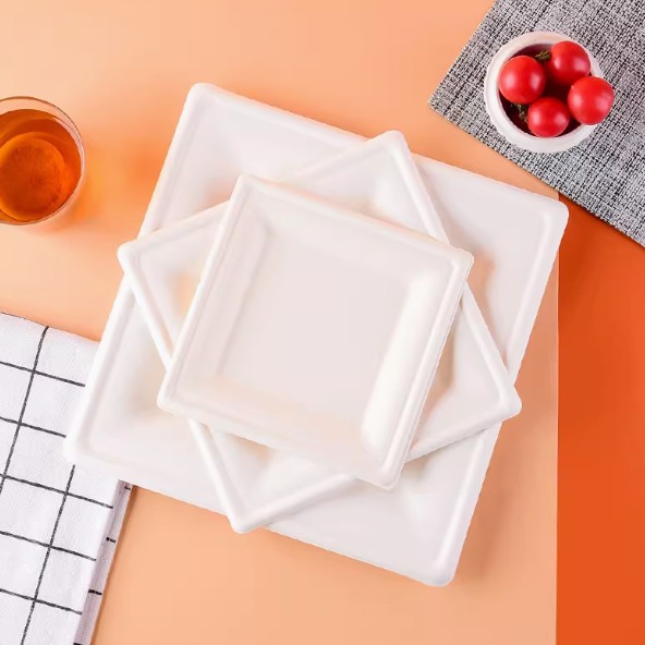 6 Inch Disposable Bagasse Compostable Square Paper Plates Large Square Dinner Plates Biodegradable