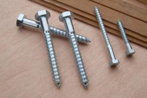  Zinc  plated    DIN 571 standard   hex  head  wood  screw  half  thread  with  different  size of manufacturing co,ltd Manufactures