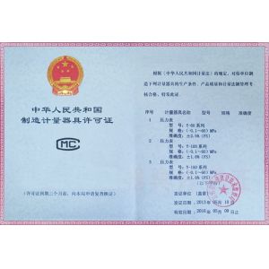 Wesen Technologies (Shanghai) Co., Ltd. Certifications