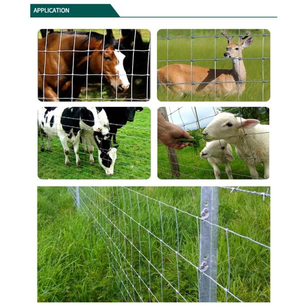 Windproof Grassland Fence , Great Toughness Sheep Farm Fence Rainproof