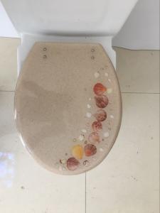 China sealife  polyresin decorate sanitary ware toilet seat with best quality hinge,sand toilet seat on sale