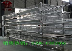  Conveyor Belt  Automatic Manure Removal System Convenience ISO9001 Approved Manufactures