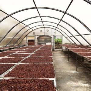  Polycarbonate Board Chilli Drying Solar Greenhouse Dryer For Vegetables Fruits Manufactures