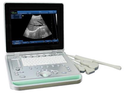 Quality 3D Digital B / W Portable Ultrasound Scanner With Convex Linear Transvaginal Probes for sale