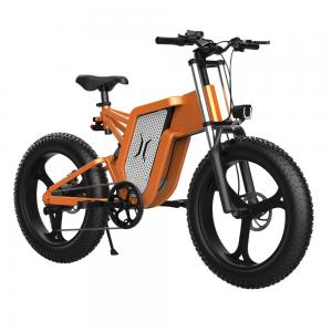  High Speed 55km/h Fat Tire Off Road Electric Bike Manufactures