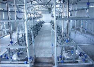  Automatic Parallel Herringbone Milking Parlor For Milk Cows , Goats , Sheep Manufactures