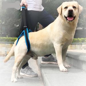  Nylon Pet Leg Support Belt Rear Leg Disability Injury High Aged Dog Stair Auxiliary Manufactures