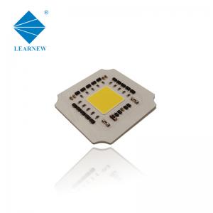  25*25mm 100 Watt COB LED Chip 120DEG 110V LED COB For Landscape Light Manufactures