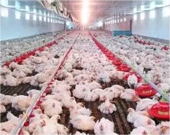 Containerized Water Treatment Plant System For Sewage Treatment Solution