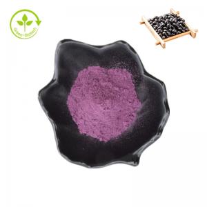  Natural Black Bean Peel Extract Organic 25% Anthocyanins Powder Black Bean Extract Manufactures