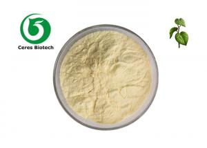  Herbal Extract 30% 70% Kavalactones Natural Kava Root Extract Powder Manufactures