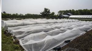China #2021 new material UV  anti Insect Net on sale