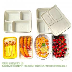 Disposable Biodegradable Sugarcane Bagasse Pulp Food Container Take Away Lunch Box Sugar Cane Food Container Manufactures