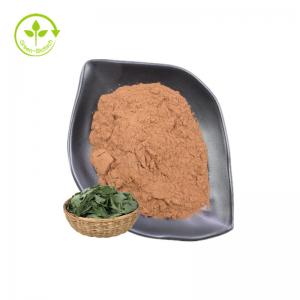 China Natural Food Grade Epimedium Leaf Extract Powder Supplement Herbal Epimedium Extract Icariin on sale