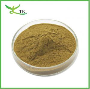  Wholesale Bulk Nuciferine Lotus Leaf Extract Powder Lotus Leaf Powder Weight Loss Raw Material Manufactures