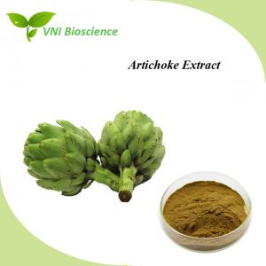  Natural Artichoke Leaf Extract Powder 2.5%-5% Cynara Scolymus Extract Manufactures