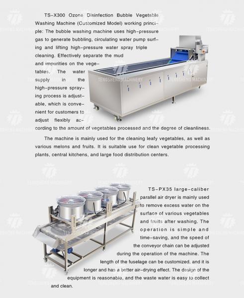 Stainless Steel Fruit And Vegetable Processing Line Potato Picking Hair Roller Bubble Washing Machine