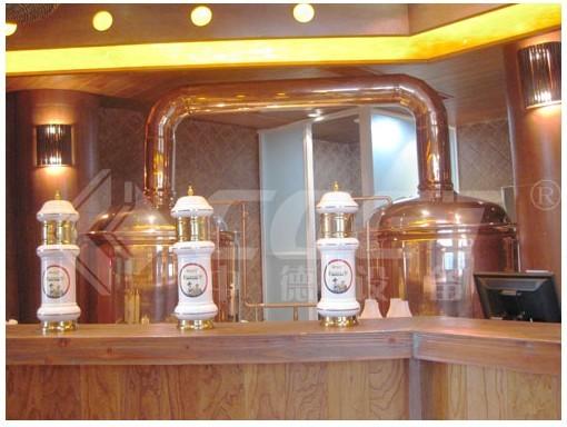 Quality 500L Red Copper Brewing Equipment Home Beer Brewing Kit 1 Year Warranty for sale