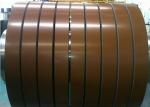 PPGI Fence Panel Stainless Steel Strip , Prepainted Galvanized Stainless Strip