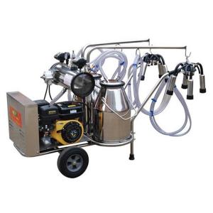  25L Bucket Milking Machine ISO9001 Electric Cow Milker Manufactures