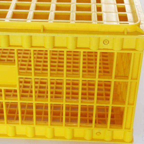 Live 12.25 Inch PE Duck Transport Crates For Chickens