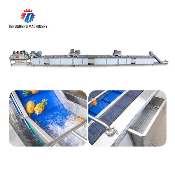 China vegetable wash line pineapple juice processing line Pineapple bubble washing and vibrating air-drying line fruit processing machinery pineapple processing line on sale