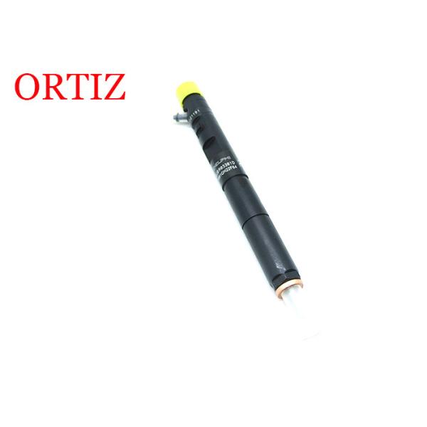 Original DELPHI Common Rail Injector For Ssangyong Rodius EJBR04601Z