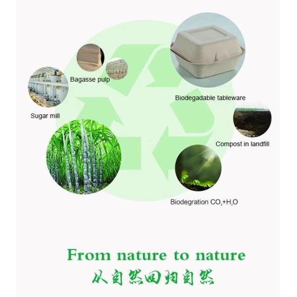 Round Compostable Bagasse Bowls Biodegradable Disposable Sugarcane