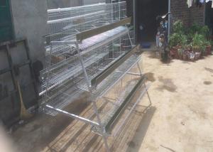  2.8mm SUS Wire Poultry Battery Cage PVC Coating With Feeding Trough Manufactures
