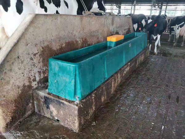 Thermal 400L Cattle Water Drinkers 4m Plastic Water Trough
