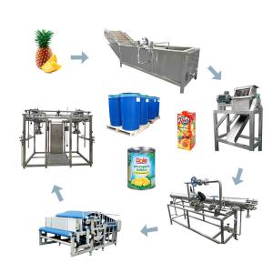 3000 Tons Per Day Pineapple Jam Production Line SUS304 Multifunctional Pineapple