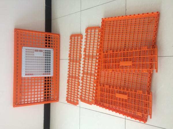Commercial Farm Polypropylene Chicken Transport Cages