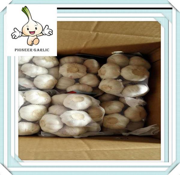 Quality China Agriculture Products Red Garlic Natural Vegetable Wholesale China Garlic In Bulb for sale
