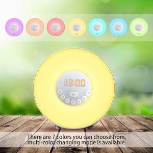  Alarm Clock,Wake Up Light with 6 Nature Sounds, FM Radio, Touch Control and USB Charger Manufactures